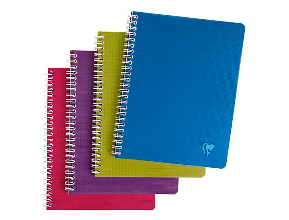 CAHIER CLAIREFONTAINE LINICOLOR INTENSIVE RELIURE INTGRALE A5+ 17X22CM 100 PAGES 90G RGLURE SYS COLORIS ASSORTIS