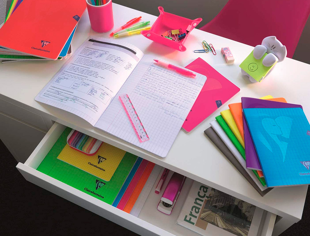 CAHIER PIQUE CLAIREFONTAINE MIMESYS COUVERTURE POYLPROPYLENE 17X22CM 48 PAGES 90G SEYES COLORIS ASSORTIS