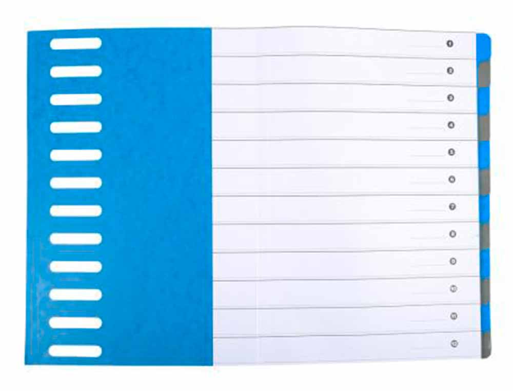 TRIEUR EXACOMPTA HARMONIKA 12 COMPARTIMENTS CARTE LUSTREE   EXTENSIBLE 24,5X32CM          ASSORTIMENT BLEU FRAMBOISE