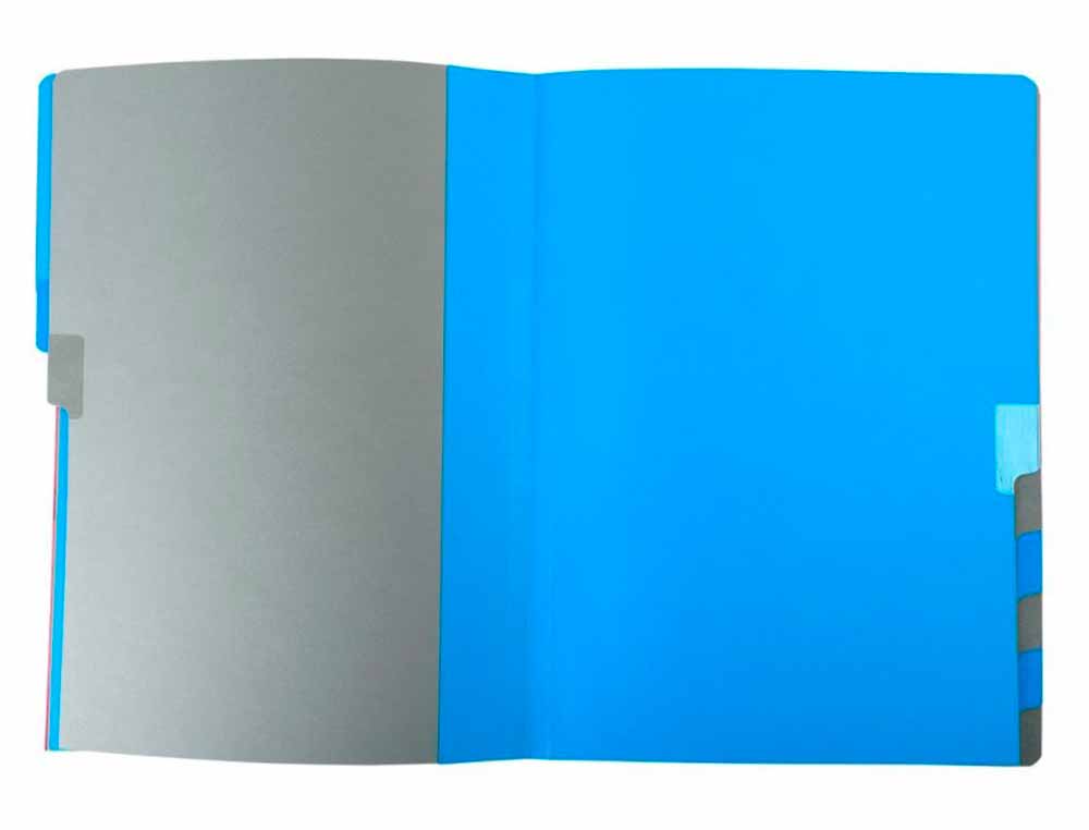 TRIEUR EXACOMPTA HARMONIKA 12 COMPARTIMENTS CARTE LUSTREE   EXTENSIBLE 24,5X32CM          ASSORTIMENT BLEU FRAMBOISE