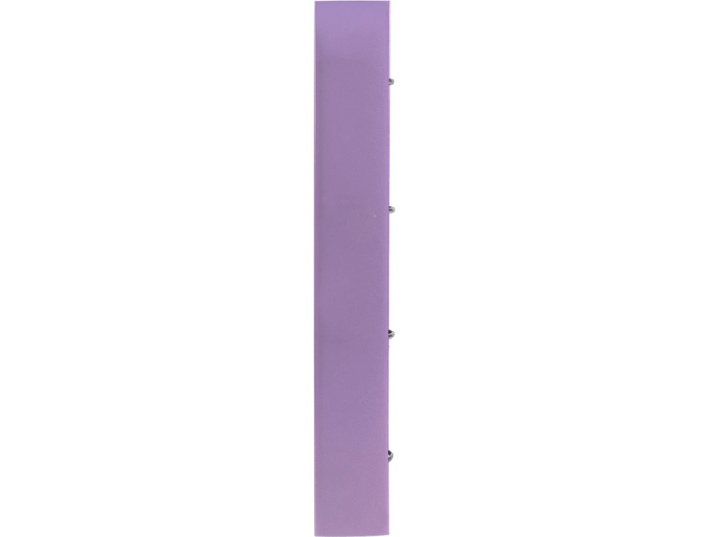 CLASSEUR LIDERPAPEL 4 ANNEAUX EN D 25MM A4 POLYPROPYLENE FEUILLETS MOBILES 100F 5X5MM COLORIS LAVANDE