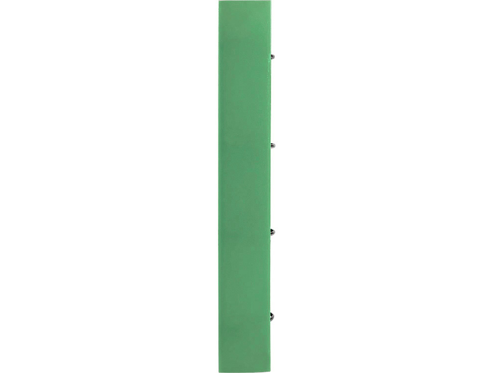 CLASSEUR LIDERPAPEL 4 ANNEAUX EN D 25MM A4 POLYPROPYLENE    FEUILLETS MOBILES 100F 5X5MM  COLORIS MENTHE