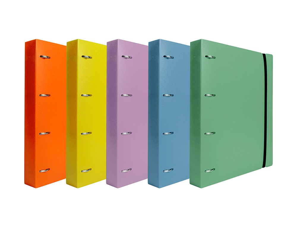 CLASSEUR LIDERPAPEL 4 ANNEAUX EN D 25MM A4 POLYPROPYLENE    FEUILLETS MOBILES 100F 5X5MM  COLORIS MENTHE