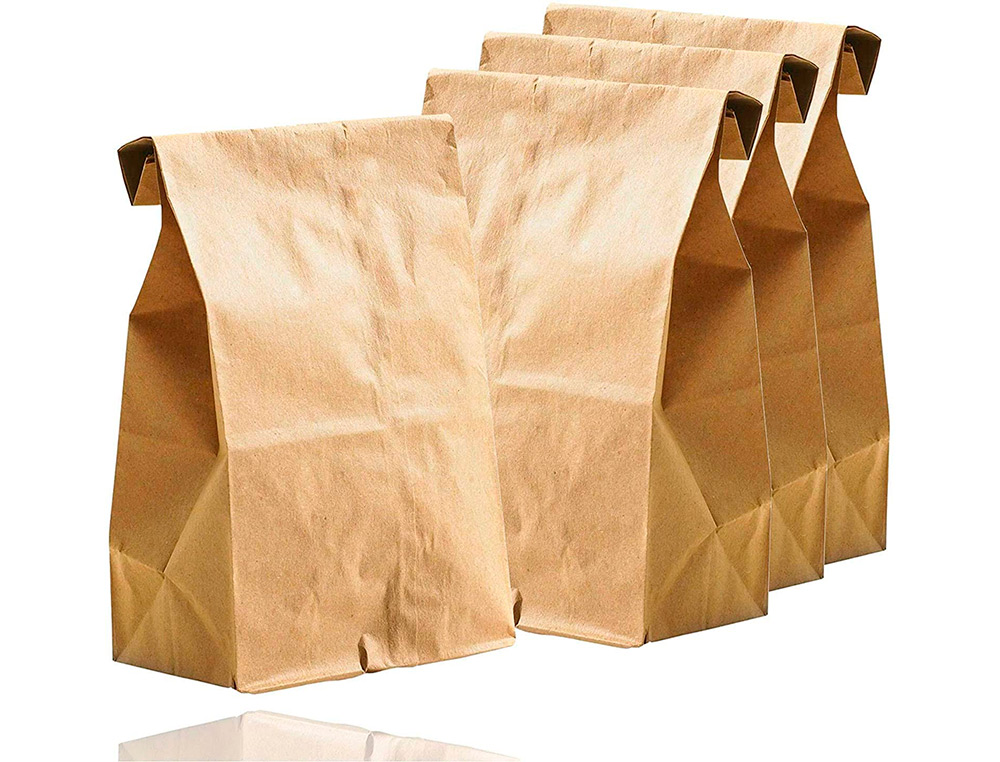 SACHET ALIMENTAIRE KRAFT BRUN 70G/M2 BIODEGRADABLE          19X35X6CM LOT DE 100