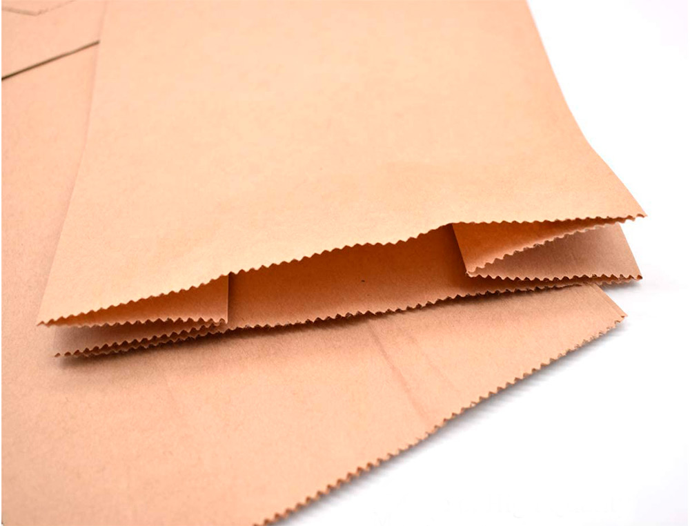SACHET ALIMENTAIRE KRAFT BRUN 70G/M2 BIODEGRADABLE          30X50X8CM LOT DE 100
