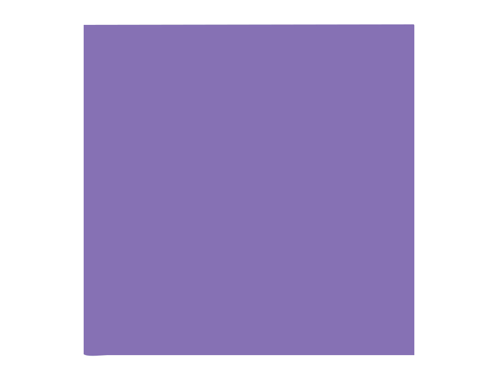 PAPIER CLAIREFONTAINE MULTIFONCTION LASER COULEUR   TROPHE A3 80G/M2 VIOLINE      PARFAITE OPACITE PAQUET 500