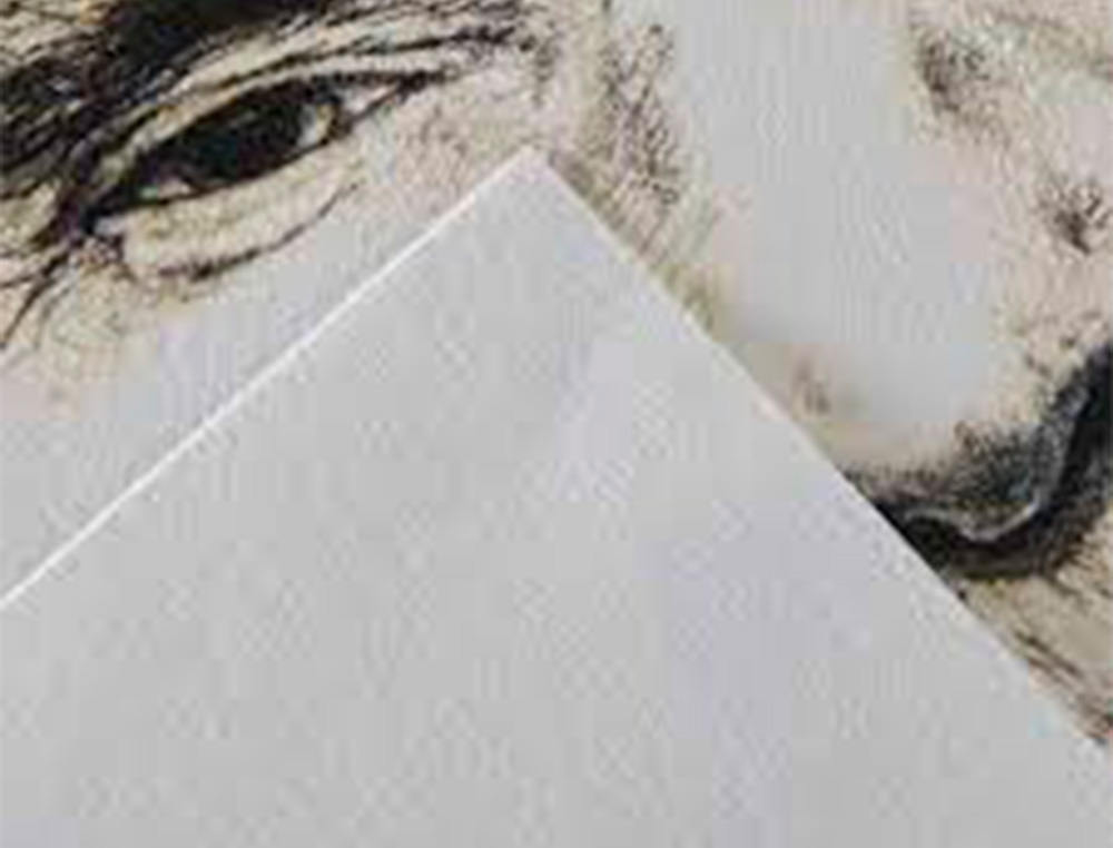 PAPIER DESSIN CANSON C A GRAIN CRAYON ENCRE GOUACHE FEUTRE 125G FEUILLE 50X65CM