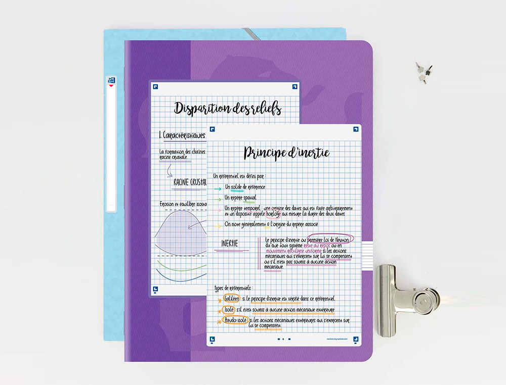 FICHES BRISTOL OXFORD REVISION 2.0 A5 PERFOREE 32   FICHES/FILM  Q5X5 CADRE BLANC