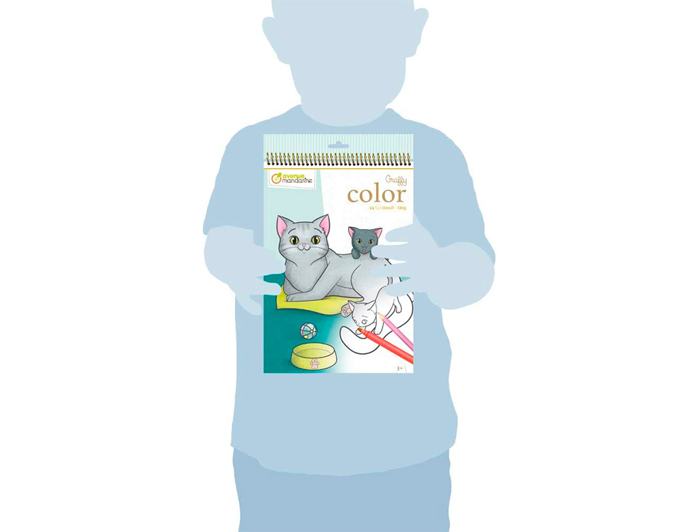 CARNET COLORIER GRAFFY CLAIREFONTAINE ANIMAUX        FAMILIERS MAMAN-B B