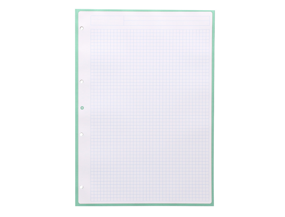FEUILLET MOBILE ANTARTIK A4 80FEUILLES 90G QUADRILLAGE 5MM 4 TROUS BORD COLORIS MENTHE