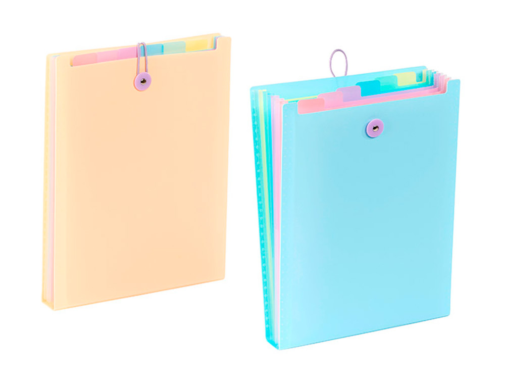 TRIEUR VIQUEL RAINBOW PASTEL POUR SAC A DOS 6              COMPARTIMENTS POLYPROPYLENE   A4 25X33X3,5CM