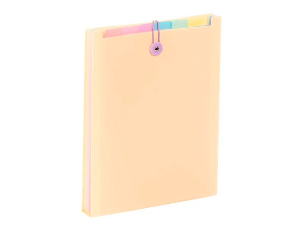 TRIEUR VIQUEL RAINBOW PASTEL POUR SAC A DOS 6              COMPARTIMENTS POLYPROPYLENE   A4 25X33X3,5CM