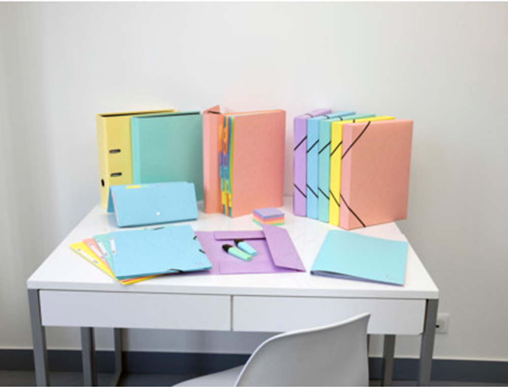 BOITE DE CLASSEMENT EXABOX AQUAREL A4 DOS 40MM ASSORTIMENT