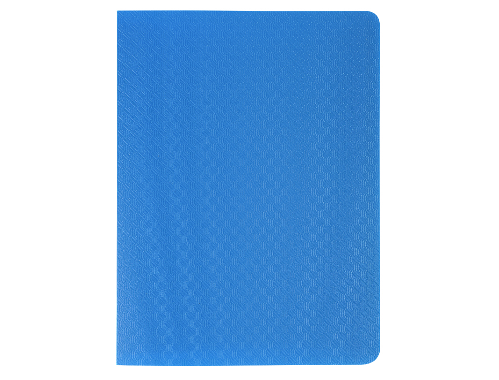 PORTE-VUES EXACOMPTA OPAK PP 40 VUES 11X15CM COLORIS       ASSORTIS