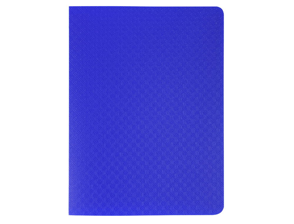 PORTE-VUES EXACOMPTA OPAK PP 40 VUES 11X15CM COLORIS       ASSORTIS