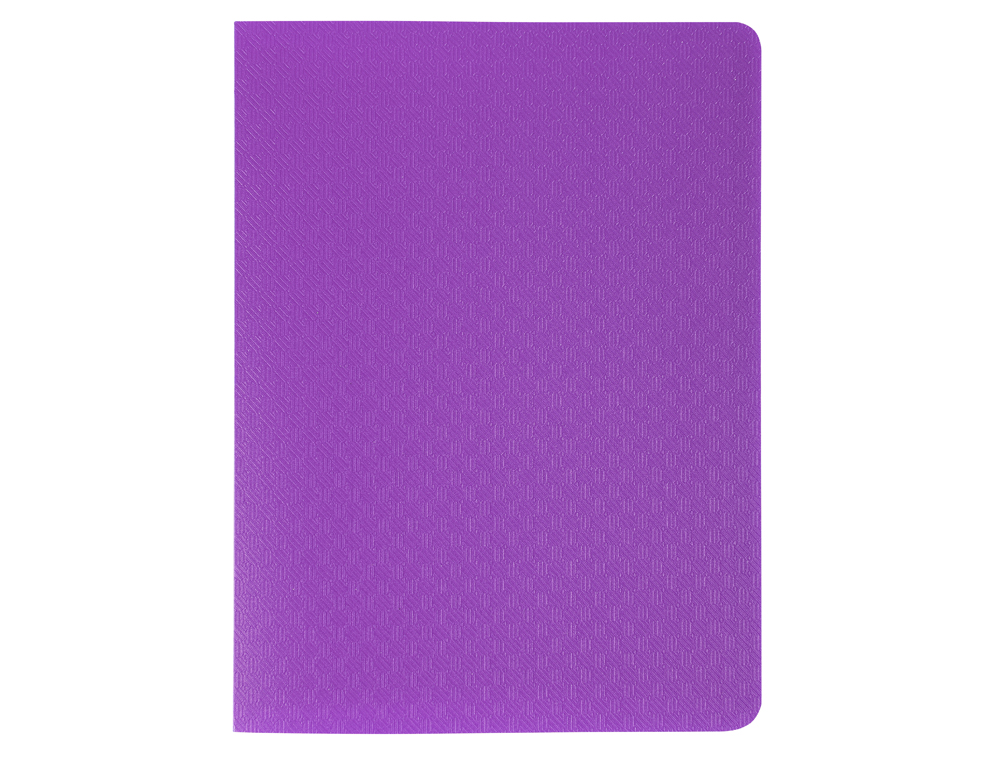 PORTE-VUES EXACOMPTA OPAK PP 40 VUES 11X15CM COLORIS       ASSORTIS