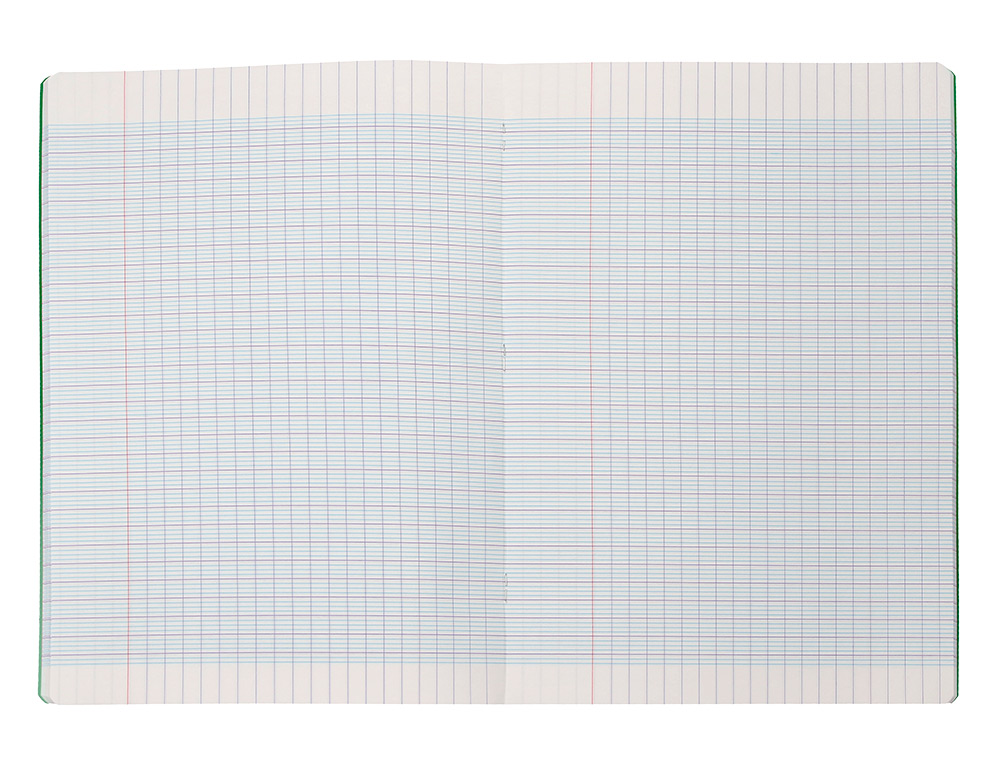 CAHIER PIQURE LIDERPAPEL COUVERTURE PP 240X320MM 48P   SEYES COLORIS VERT