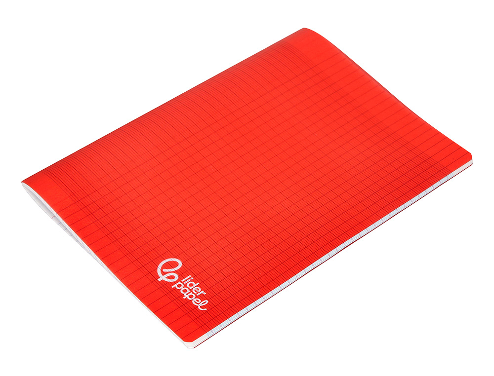 CAHIER PIQURE LIDERPAPEL COUVERTURE PP 240X320MM 96P   SEYES COLORIS ASSORTIS LOT 10 UNITES