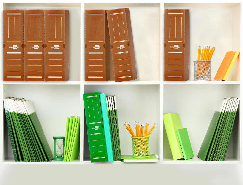 BOITE A ARCHIVES LIDERPAPEL POLYPROPYLENE ONDULE DOS 100MM 360X100X260MM COLORIS MARRON