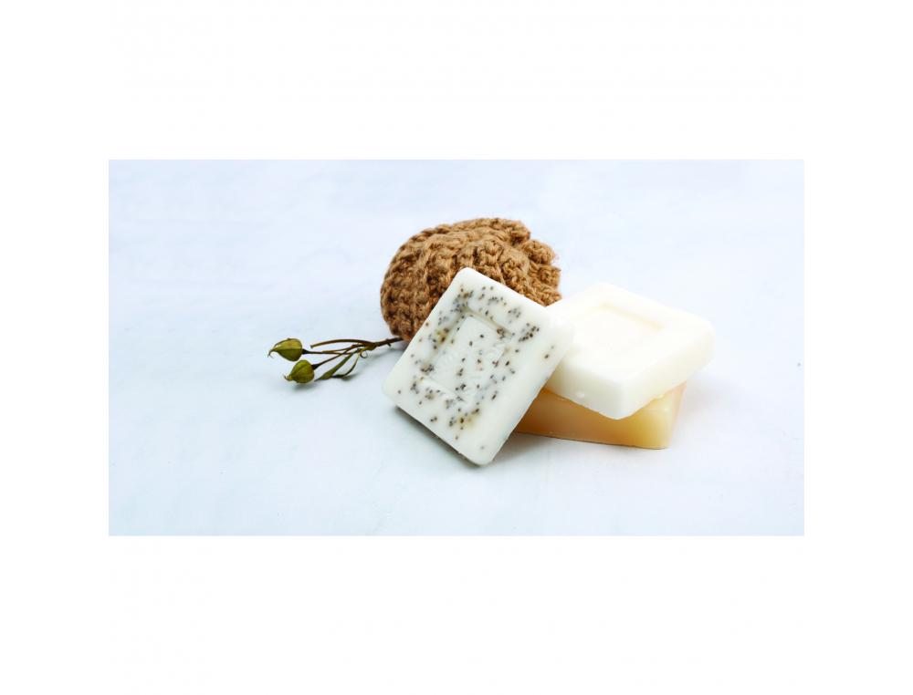 KITS SAVONS BIEN ETRE GRAINE CREATIVE KARITE 100G