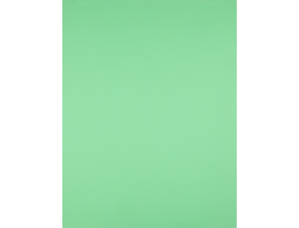 PAPIER CARTONNE LIDERPAPEL 50X65CM 180GR COLORIS VERT PISTACHE