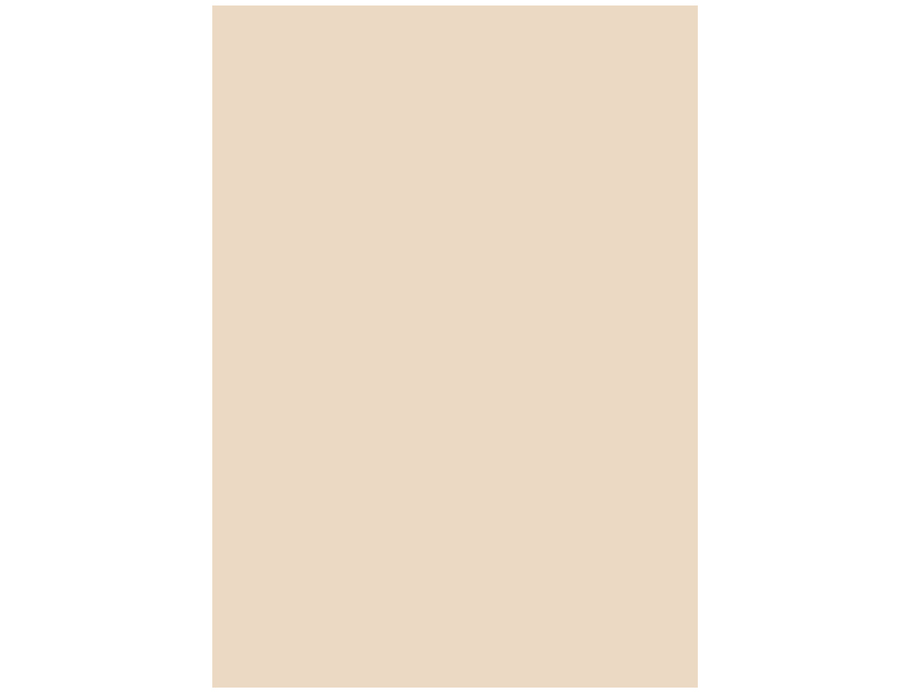 PAPIER COULEUR LIDERPAPEL MULTIFONCTION A4 165G/M2 PAQUET UNICOLORE 9 FEUILLES COLORIS CRME