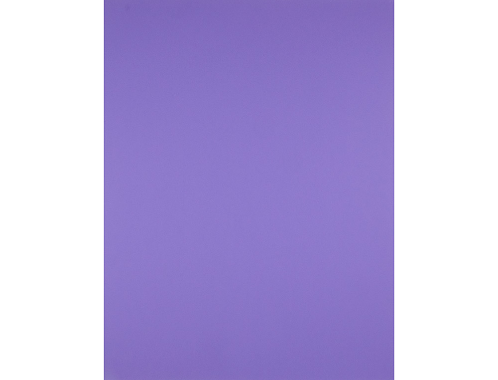 PAPIER CARTONNE LIDERPAPEL 50X65CM 240GR COLORIS POURPRE