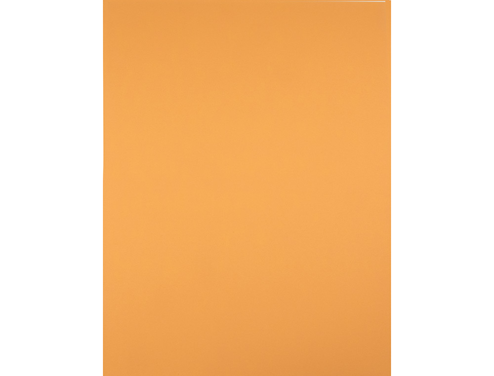 PAPIER CARTONNÉ LIDERPAPEL DESSIN TRAVAUX MANUELS 240G/M2 50X65CM UNICOLOR NOISETTE