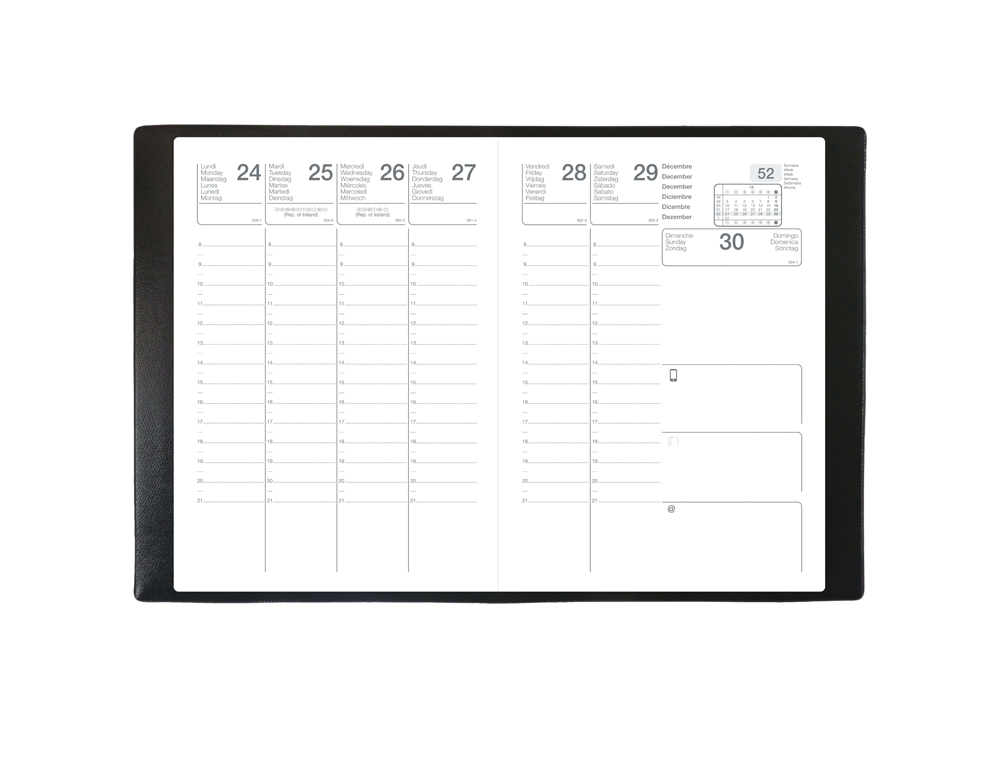 AGENDA QUOVADIS SCOLEXDI ML ALPHA 18-19 COLORIS NOIR      100X150MM