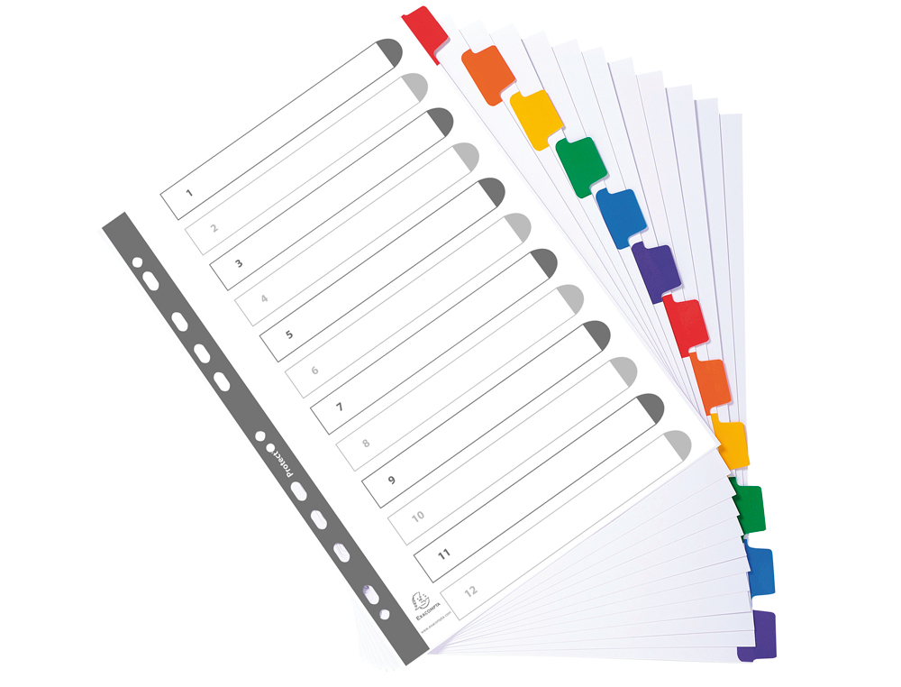 INTERCALAIRE EXACOMPTA CARTE BLANCHE 160G 12 POSITIONS A4 ONGLETS COULEUR RENFORCS