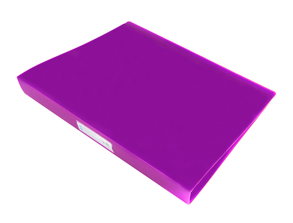 CLASSEUR LIDERPAPEL 4 ANNEAUX 25MM A4 260X315MM POLYPROPYLENE DOS 40MM PORTE-CARTES VISITE COLORIS VIOLET