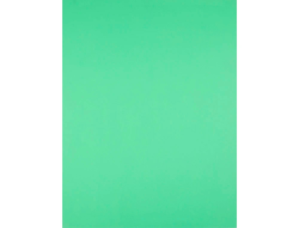 PAPIER CARTONNE LIDERPAPEL 50X65CM 240GR COLORIS VERT    PISTACHE PAQUET 25 FEUILLES