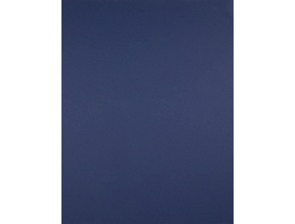 PAPIER CARTONNE LIDERPAPEL 50X65CM 180GR COLORIS BLEU SAPHIR
