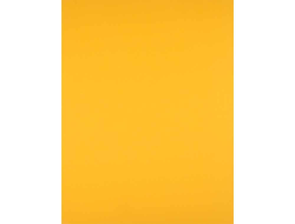 PAPIER CARTONNE LIDERPAPEL 50X65CM 180GR COLORIS VIEIL   OR PAQUET 25 FEUILLES