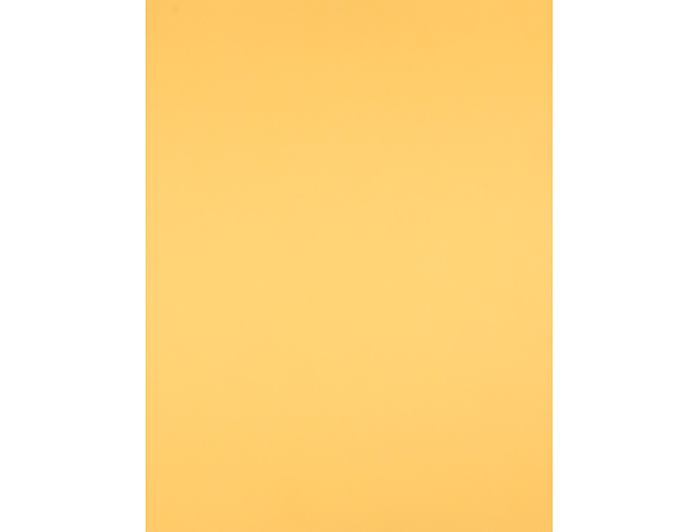 PAPIER CARTONNE LIDERPAPEL 50X65CM 180GR COLORIS OR      PAQUET 25 FEUILLES