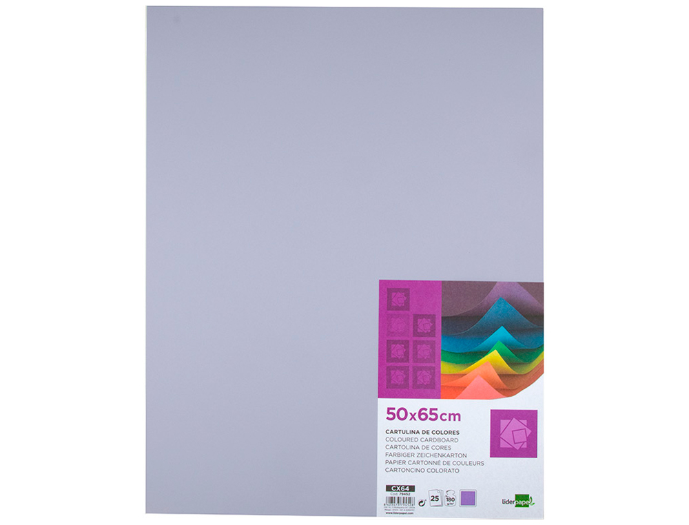 PAPIER CARTONNE LIDERPAPEL 50X65CM 180GR COLORIS LILAS   PAQUET 25 FEUILLES