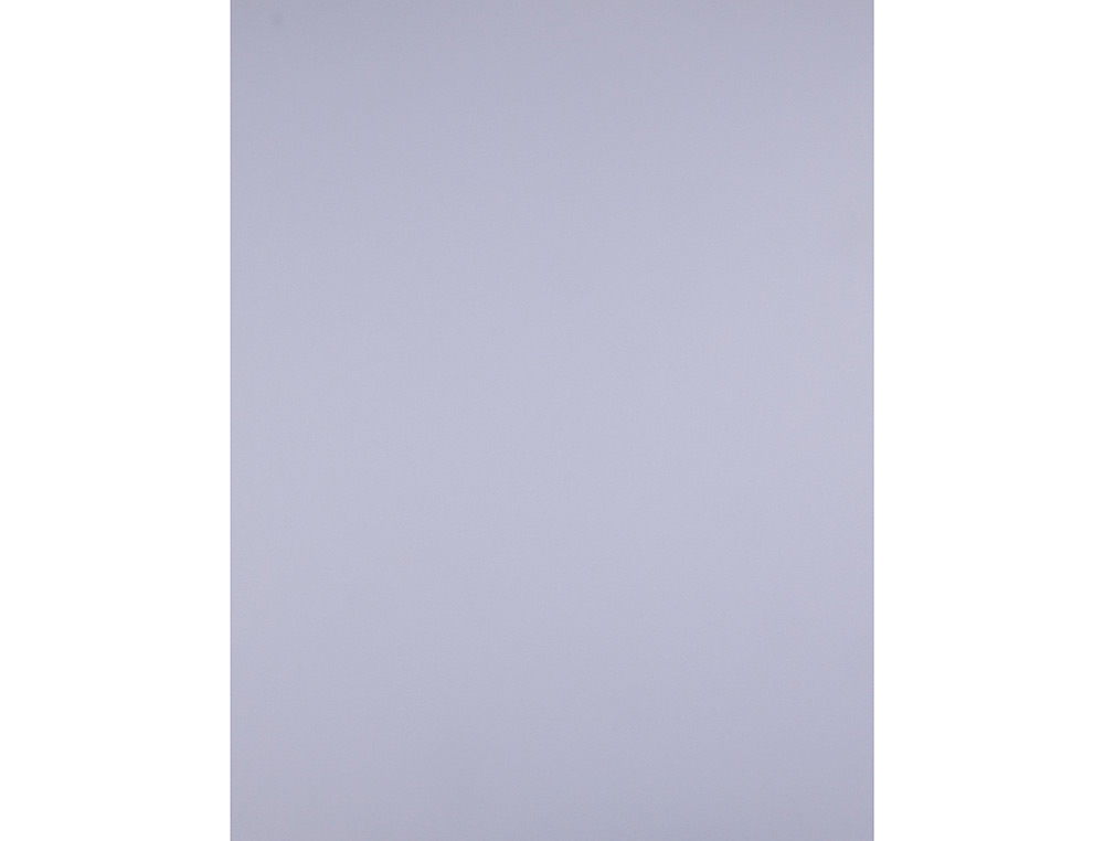 PAPIER CARTONNE LIDERPAPEL 50X65CM 180GR COLORIS LILAS   PAQUET 25 FEUILLES