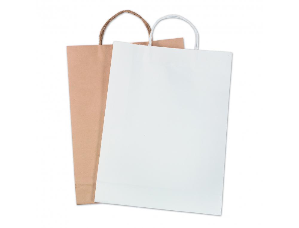 LOT SACS PAPIER KRAFT FOLIA 24X31CM 125G 20 UNITES        COLORIS BRUN